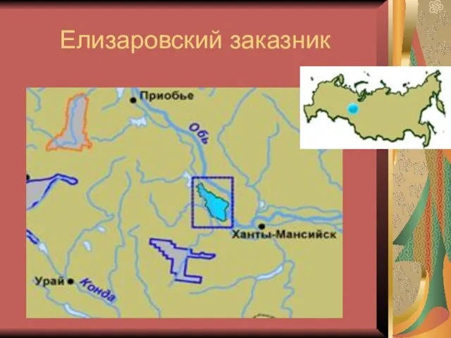 Елизаровский заказник