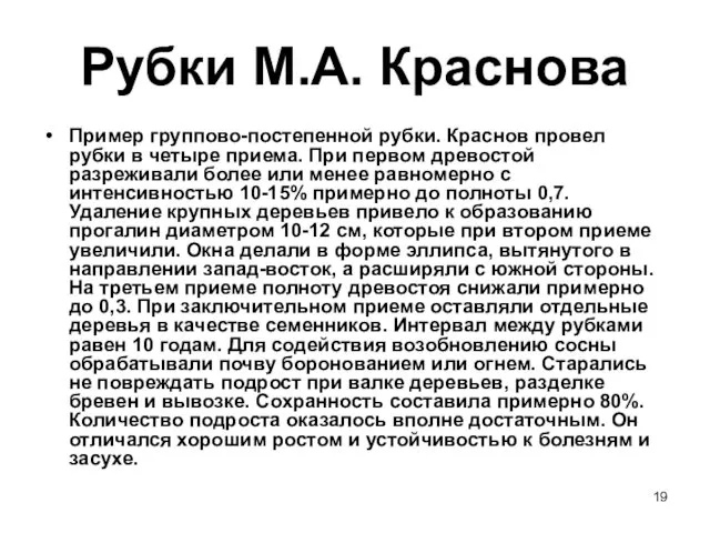 Рубки М.А. Краснова Пример группово-постепенной рубки. Краснов провел рубки в