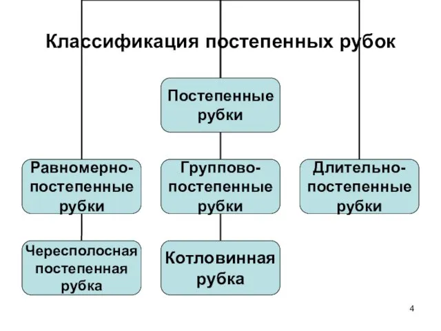 Классификация постепенных рубок