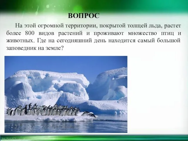 На этой огромной территории, покрытой толщей льда, растет более 800