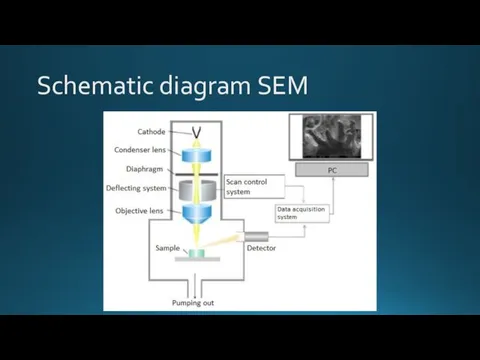 Schematic diagram SEM