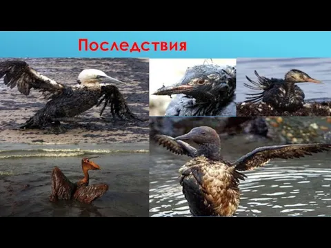 Последствия