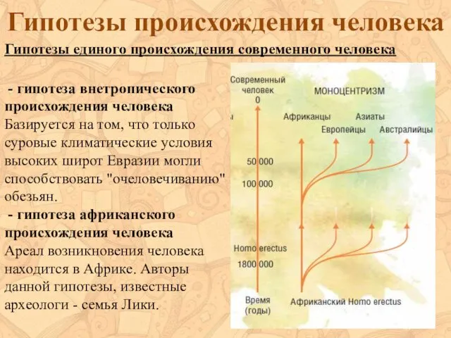 Гипотезы происхождения человека - гипотеза внетропического происхождения человека Базируется на