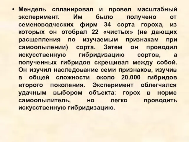 Мендель спланировал и провел масштабный эксперимент. Им было получено от