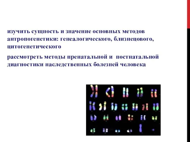 изучить сущность и значение основных методов антропогенетики: генеалогического, близнецового, цитогенетического