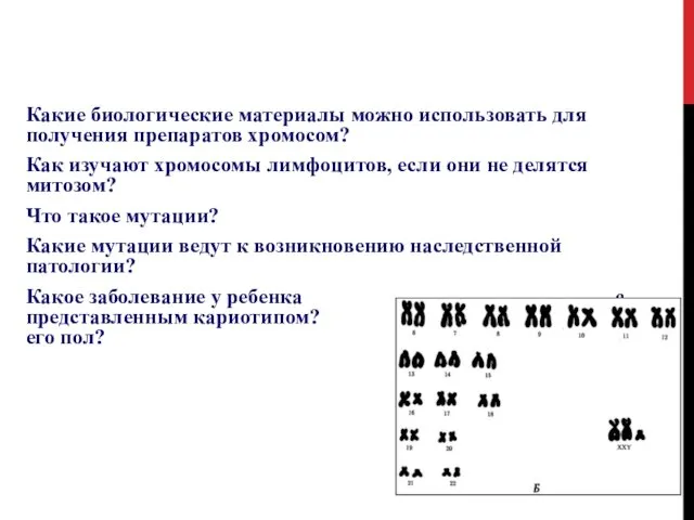 ВОПРОСЫ ДЛЯ ОБСУЖДЕНИЯ Какие биологические материалы можно использовать для получения