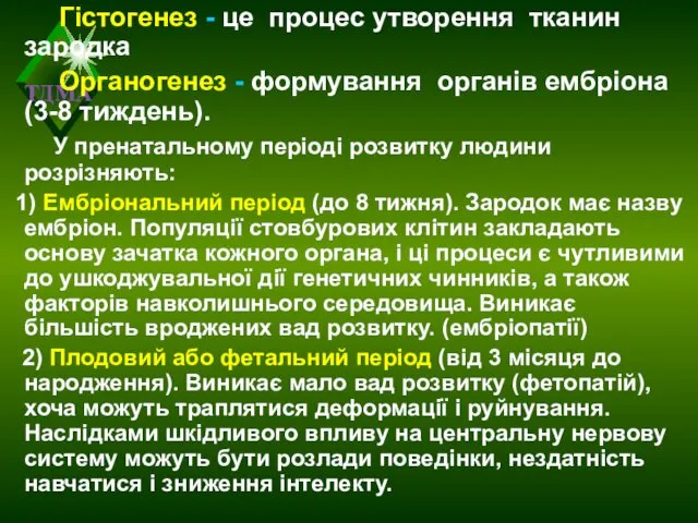 Гістогенез - це процес утворення тканин зародка Органогенез - формування органів ембріона (3-8