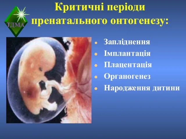 Критичні періоди пренатального онтогенезу: Запліднення Імплантація Плацентація Органогенез Народження дитини