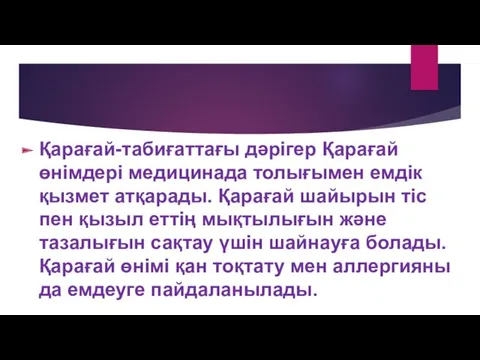 Қарағай-табиғаттағы дәрігер Қарағай өнімдері медицинада толығымен емдік қызмет атқарады. Қарағай