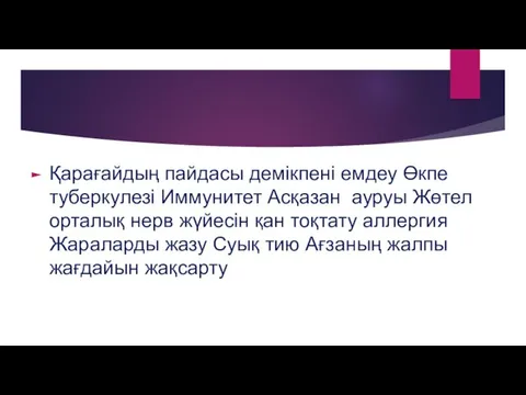 Қарағайдың пайдасы демікпені емдеу Өкпе туберкулезі Иммунитет Асқазан ауруы Жөтел