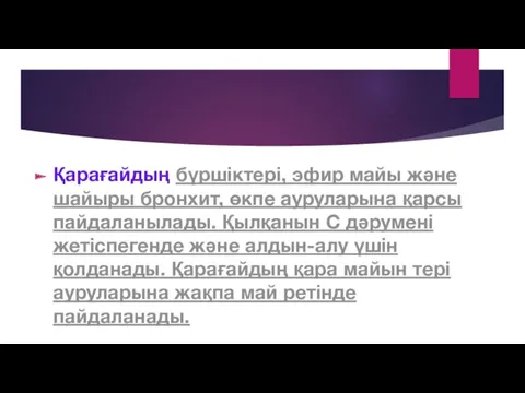 Қарағайдың бүршіктері, эфир майы және шайыры бронхит, өкпе ауруларына қарсы пайдаланылады. Қылқанын С