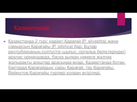 Қазақстанда Қазақстанда 2 түрі: кәдімгі Қарағай (P. sіlvestrіs) және самырсын