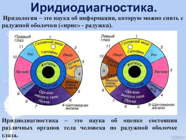 Иридиодиагностика. Иридиодиагностика – это наука об оценке состояния различных органов