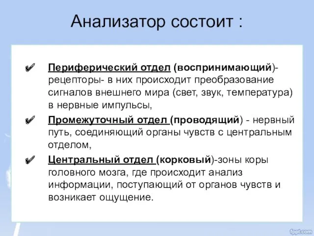 Анализатор состоит : Периферический отдел (воспринимающий)- рецепторы- в них происходит