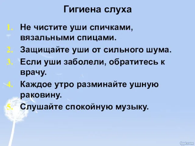 Гигиена слуха Не чистите уши спичками, вязальными спицами. Защищайте уши