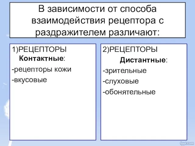 В зависимости от способа взаимодействия рецептора с раздражителем различают: 1)РЕЦЕПТОРЫ