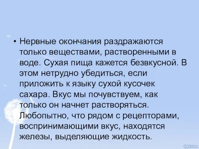 Нервные окончания раздражаются только веществами, растворенными в воде. Сухая пища