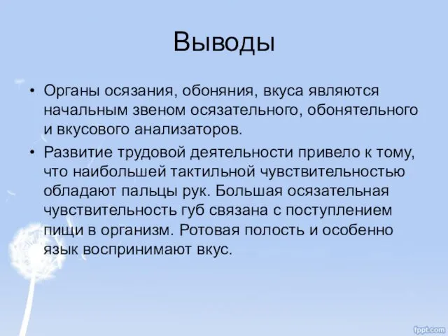 Выводы Органы осязания, обоняния, вкуса являются начальным звеном осязательного, обонятельного