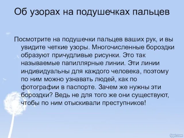 Об узорах на подушечках пальцев Посмотрите на подушечки пальцев ваших