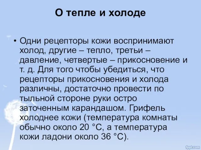 О тепле и холоде Одни рецепторы кожи воспринимают холод, другие