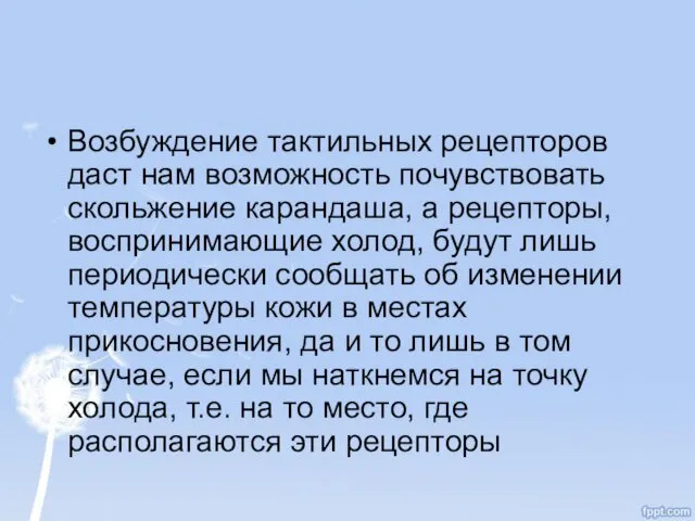 Возбуждение тактильных рецепторов даст нам возможность почувствовать скольжение карандаша, а