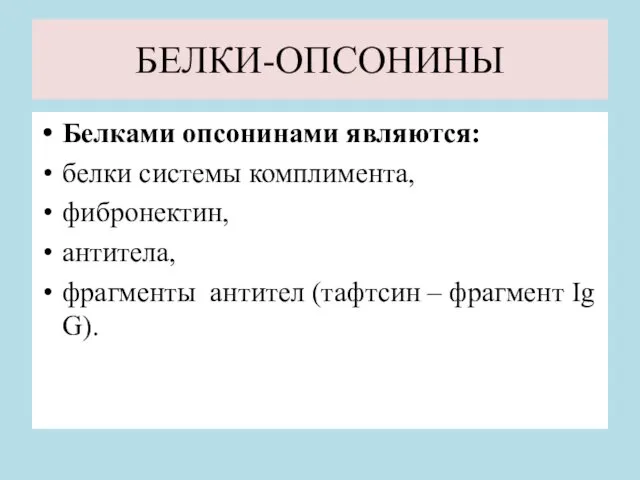 БЕЛКИ-ОПСОНИНЫ Белками опсонинами являются: белки системы комплимента, фибронектин, антитела, фрагменты антител (тафтсин – фрагмент Ig G).