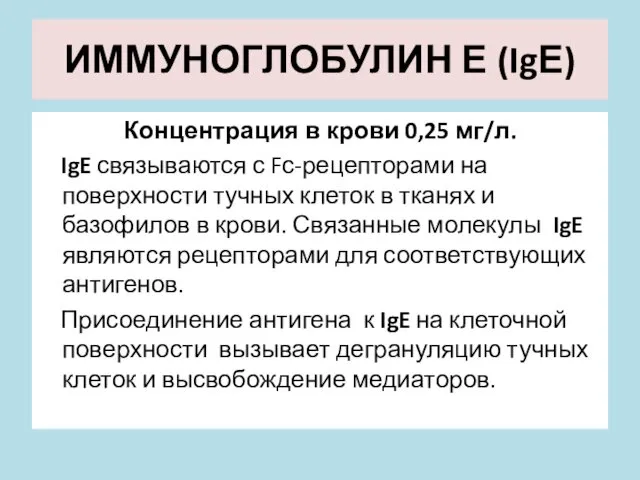 ИММУНОГЛОБУЛИН Е (IgЕ) Концентрация в крови 0,25 мг/л. IgE связываются