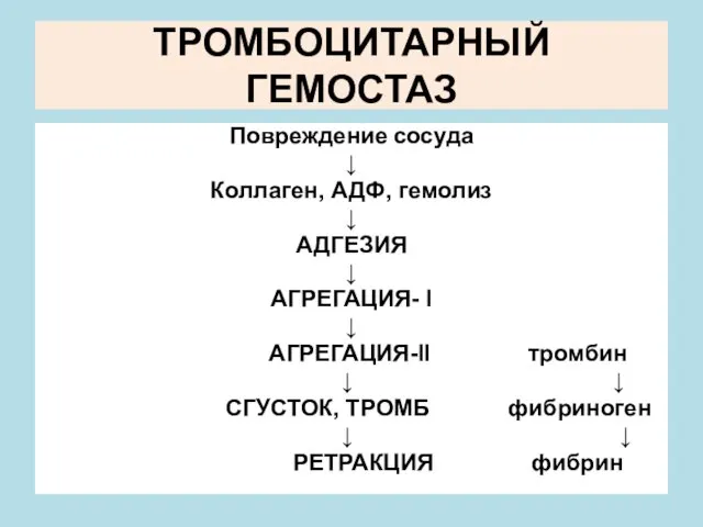 ТРОМБОЦИТАРНЫЙ ГЕМОСТАЗ Повреждение сосуда ↓ Коллаген, АДФ, гемолиз ↓ АДГЕЗИЯ