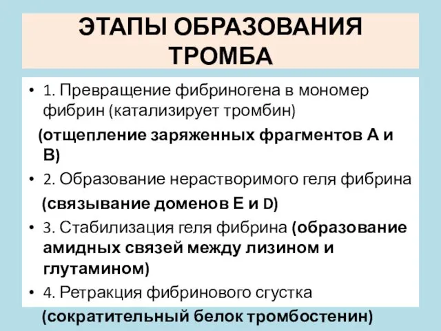 ЭТАПЫ ОБРАЗОВАНИЯ ТРОМБА 1. Превращение фибриногена в мономер фибрин (катализирует