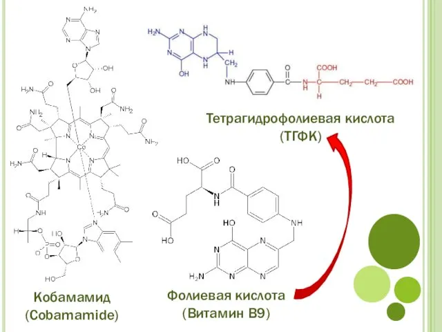 Кобамамид (Cobamamide) Фолиевая кислота (Витамин В9) Тетрагидрофолиевая кислота (ТГФК)
