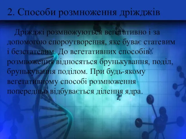 2. Способи розмноження дріжджів Дріжджі розмножуються вегетативно і за допомогою