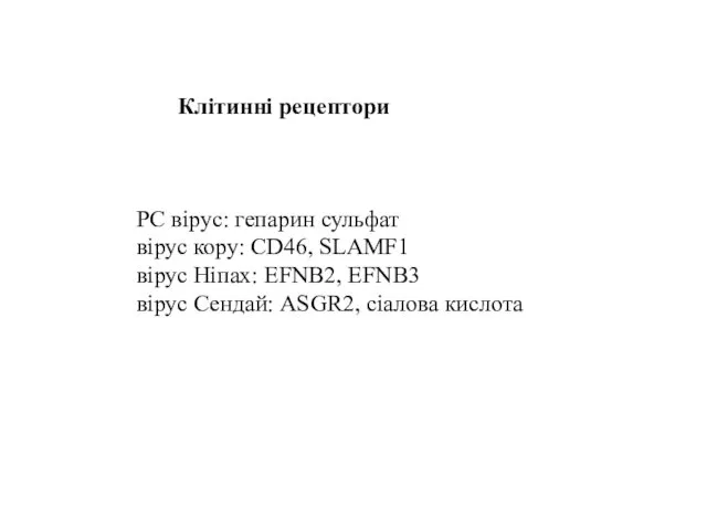 РС вірус: гепарин сульфат вірус кору: CD46, SLAMF1 вірус Ніпах: