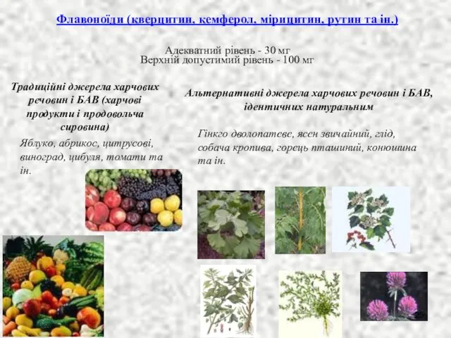 Флавоноїди (кверцитин, кемферол, мірицитин, рутин та ін.) Адекватний рівень -