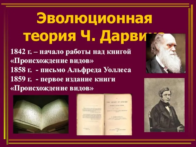 Эволюционная теория Ч. Дарвина 1842 г. – начало работы над книгой «Происхождение видов»