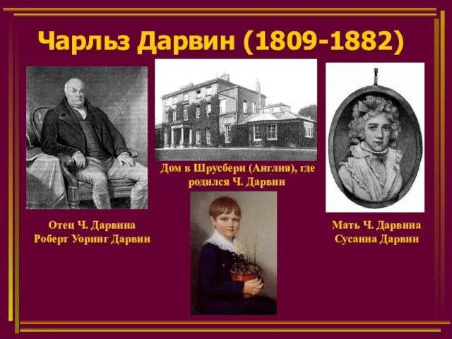 Чарльз Дарвин (1809-1882) Отец Ч. Дарвина Роберт Уоринг Дарвин Мать Ч. Дарвина Сусанна