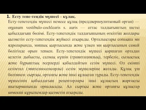 Есту тепе-теңдік мүшесі – құлақ. Есту-тепетеңдік мүшесі немесе құлақ (преддверноулитковый