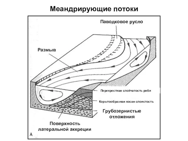 Меандрирующие потоки Поверхность латеральной аккреции Грубозернистые отложения Корытообразная косая слоистость Перекрестная слойчатость ряби Паводковое русло Размыв