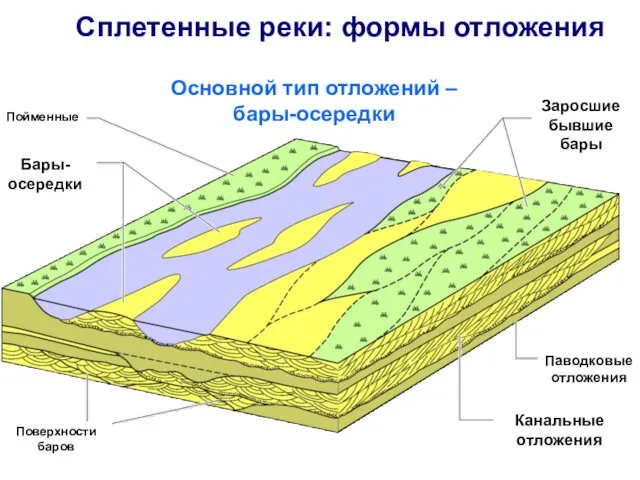 Сплетенные реки: формы отложения Пойменные Заросшие бывшие бары Паводковые отложения