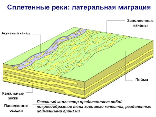 Сплетенные реки: латеральная миграция Активный канал Заполненные каналы Пойма Канальные