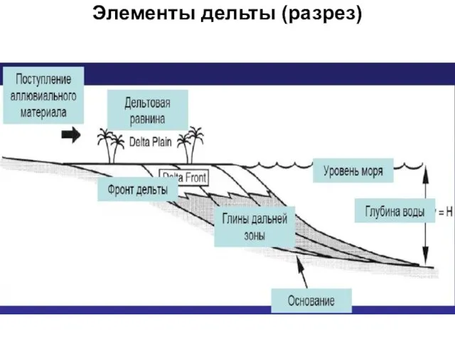 Элементы дельты (разрез)