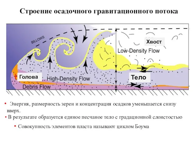 (Wagerle, 2001) Энергия, размерность зерен и концентрация осадков уменьшается снизу