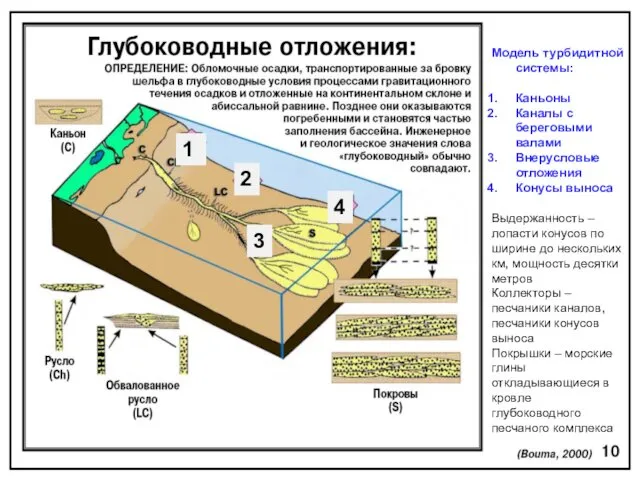 Модель турбидитной системы: Каньоны Каналы с береговыми валами Внерусловые отложения