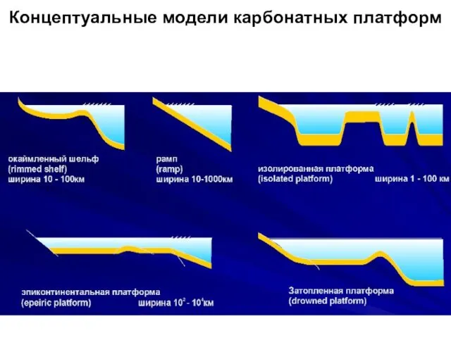 Концептуальные модели карбонатных платформ