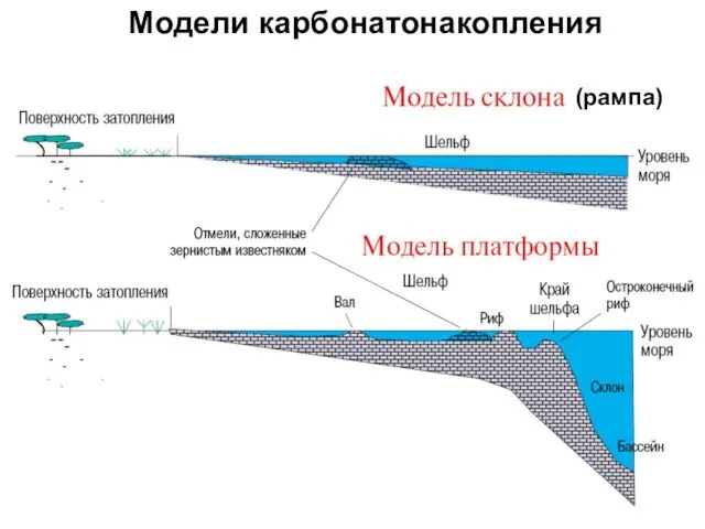 Модели карбонатонакопления (рампа)