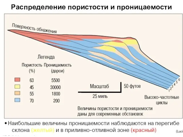 Распределение пористости и проницаемости