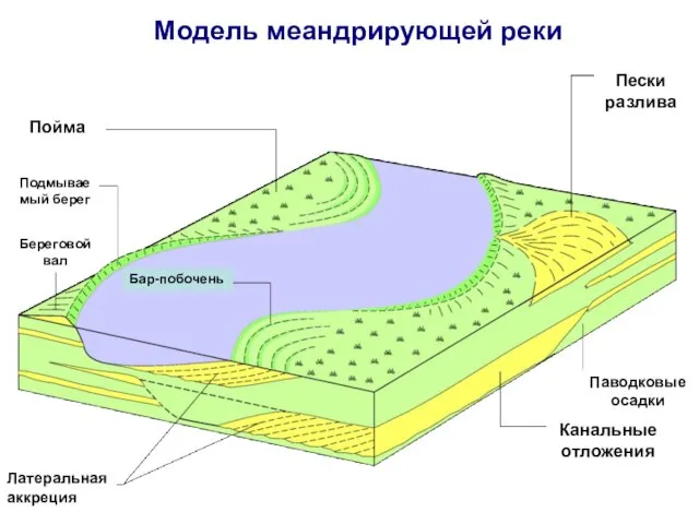 Модель меандрирующей реки Пески разлива Паводковые осадки Канальные отложения Латеральная