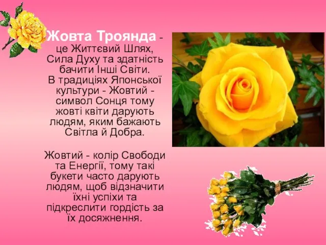 Жовта Троянда - це Життєвий Шлях, Сила Духу та здатність бачити Інші Світи.