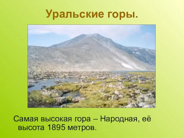 Уральские горы. Самая высокая гора – Народная, её высота 1895 метров.