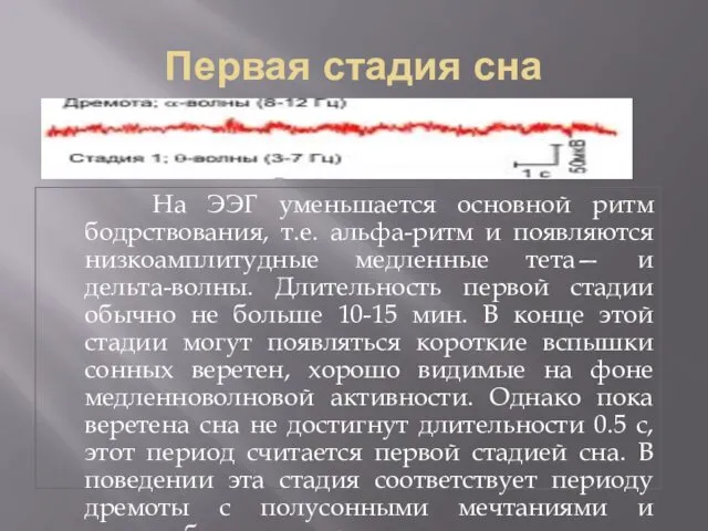 Первая стадия сна На ЭЭГ уменьшается основной ритм бодрствования, т.е.