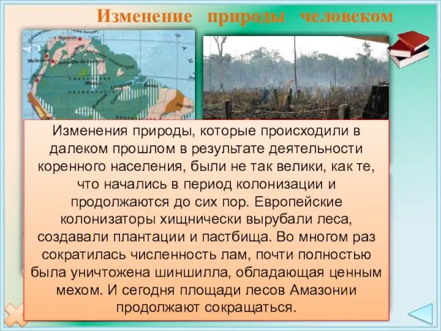 Изменение природы человеком Уничтожение лесов Опустынивание Пустыни Сильное загрязнение моря